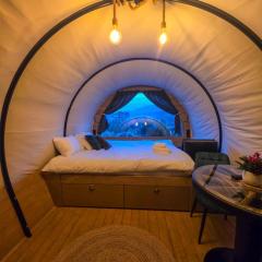 Nomad by Hora cu Brazi