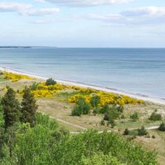 Villavilla #509 - Marielyst, Lollandfalstermøn