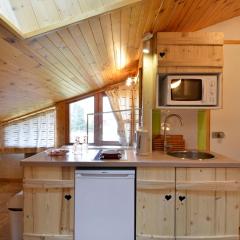 Studio chaleureux, ski aux pieds, animaux admis - FR-1-181-2765