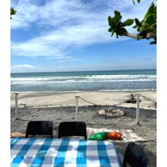 Villa Roco Private Beachfront Villa at Elyu