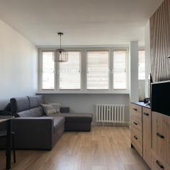 Klimatyczne mieszkanie w Centrum