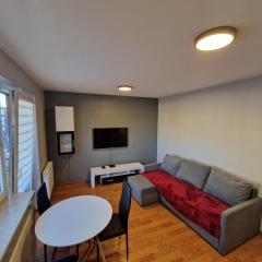 Apartamenty Centrum Trójka Zagnańska