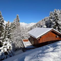 Chalet 5 pièces Vallandry, 12 pers, animaux admis, parking, WiFi - FR-1-411-545