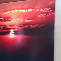 The Healing Point lodge kafue