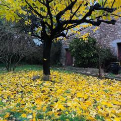 L'Ostal des Embruscalles