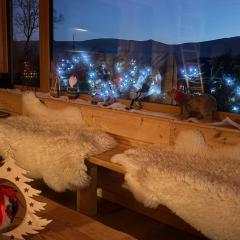 Apartament Hakerówka