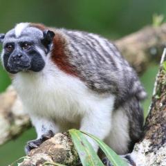 Hacienda MartinezSierra