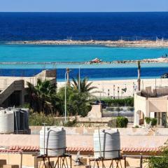 أراكِ قريبا صينين فقط