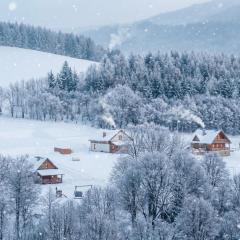 Bieszczady Żubrowe Wzgórze 785-049-543
