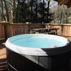 Chalets à La Bresse - LE RENNE Chalet en bois au calme avec SPA Jacuzzi MAE-8031
