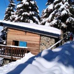 Chalets à Chamrousse - Chalet des lupins - Chalet 1P2 MAE-3173