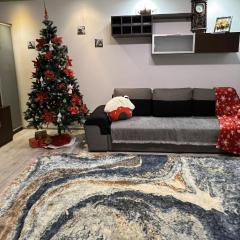 Ana Lux Apartments Brasov