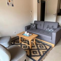 Résidence Les Campanules - Pour votre séjour au sport d'hiver charmant deux piéces avec mezzanine MAE-3353