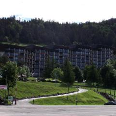 Résidence Les Aloubiers - PIED DES PISTES MAE-7233