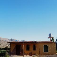 Nativas Cabaña Amarilla