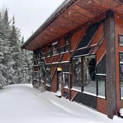 The Sculptural Nature Escape, hot tub, Billiards