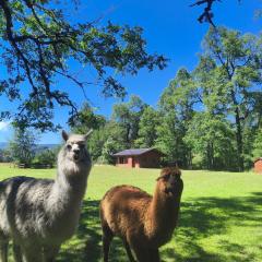 Cabañas Valle del Río