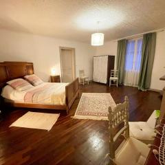 Gîte spacieux avec jardin et animaux acceptés près de Blois - FR-1-491-472