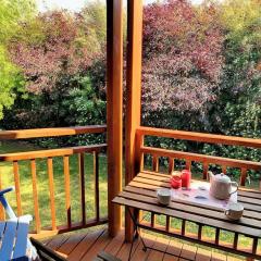 Appartement lumineux à Messanges - 4 pers, animaux admis, parking - FR-1-857-62