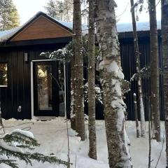 chalet Dans les bois