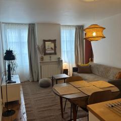 Joli appartement très calme en hypercentre, à côté du tram