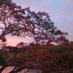 SeaSide Local HomeStay