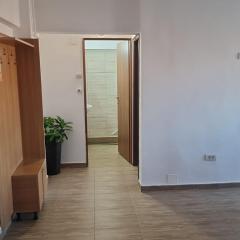 Brancoveanu Avenue Apartament