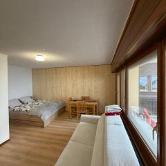 Appart cozy avec grand balcon