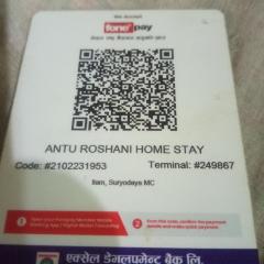 Antu roshni homestay