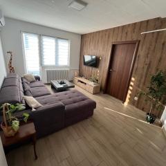 Panorama View Belgrade