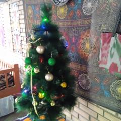 Whole Guest House Rental In the Center of Tourism Area