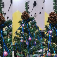 Harmony Backpackers Hostel