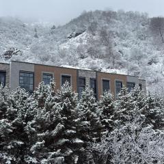 Ugam revers Apartments