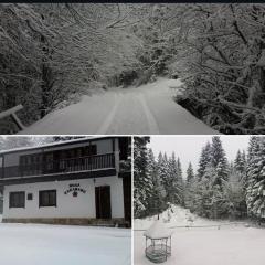 Вила Еделвайс