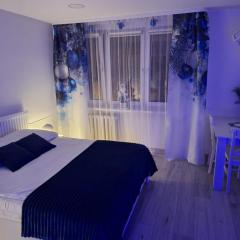 Apartament Premium Tarnów 2