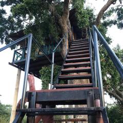 The Campers Lodge Yala