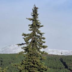 Quinta da Feteira - Conforto, Aventura, Saúde