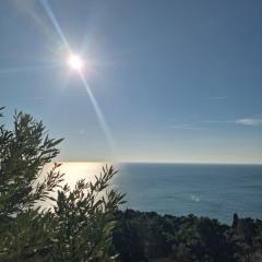 Apartmani Vila Marija