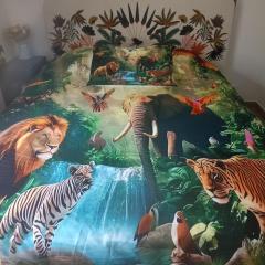 De l'Amazone à la Savane