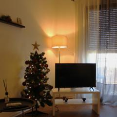 Simplicity Center Apartment