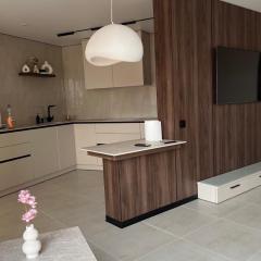 Апартаменти просторі 2 кімнати на Монастирський