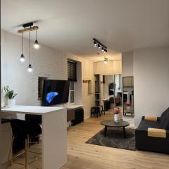 Avotu 4A Central Apartments