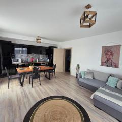 Provence Ap 308 Baile Felix