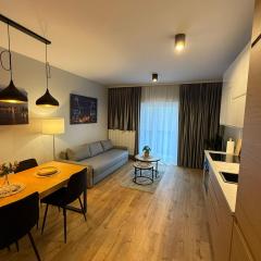 Apartament City Lights Szczecin