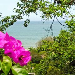 Chalé Lagarto com Praia da Solidão em meio a natureza, Florianópolis