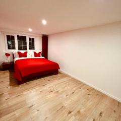 Luxury Apartment for WEF and Ski