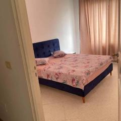 شارع الهادي نويرة حي النصر أريانة