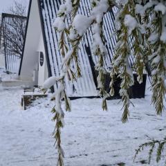 Chalé Acolhedor - Penhas da Saúde - Serra da Estrela