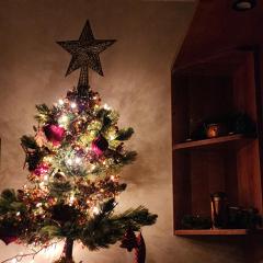 Il Glicine di Marco Polo