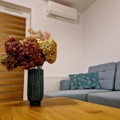 Multi House Rzeszów 3